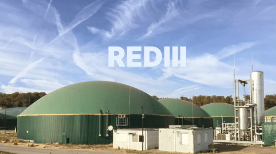 RED III Validation de la clause « grand-père »